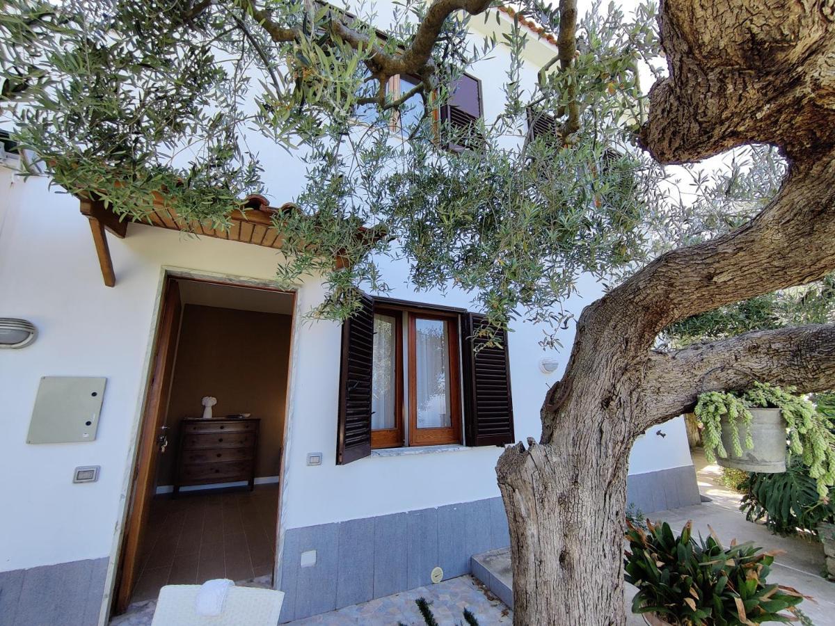 Il Nido Del Gabbiano Apartment Massa Lubrense Exterior foto
