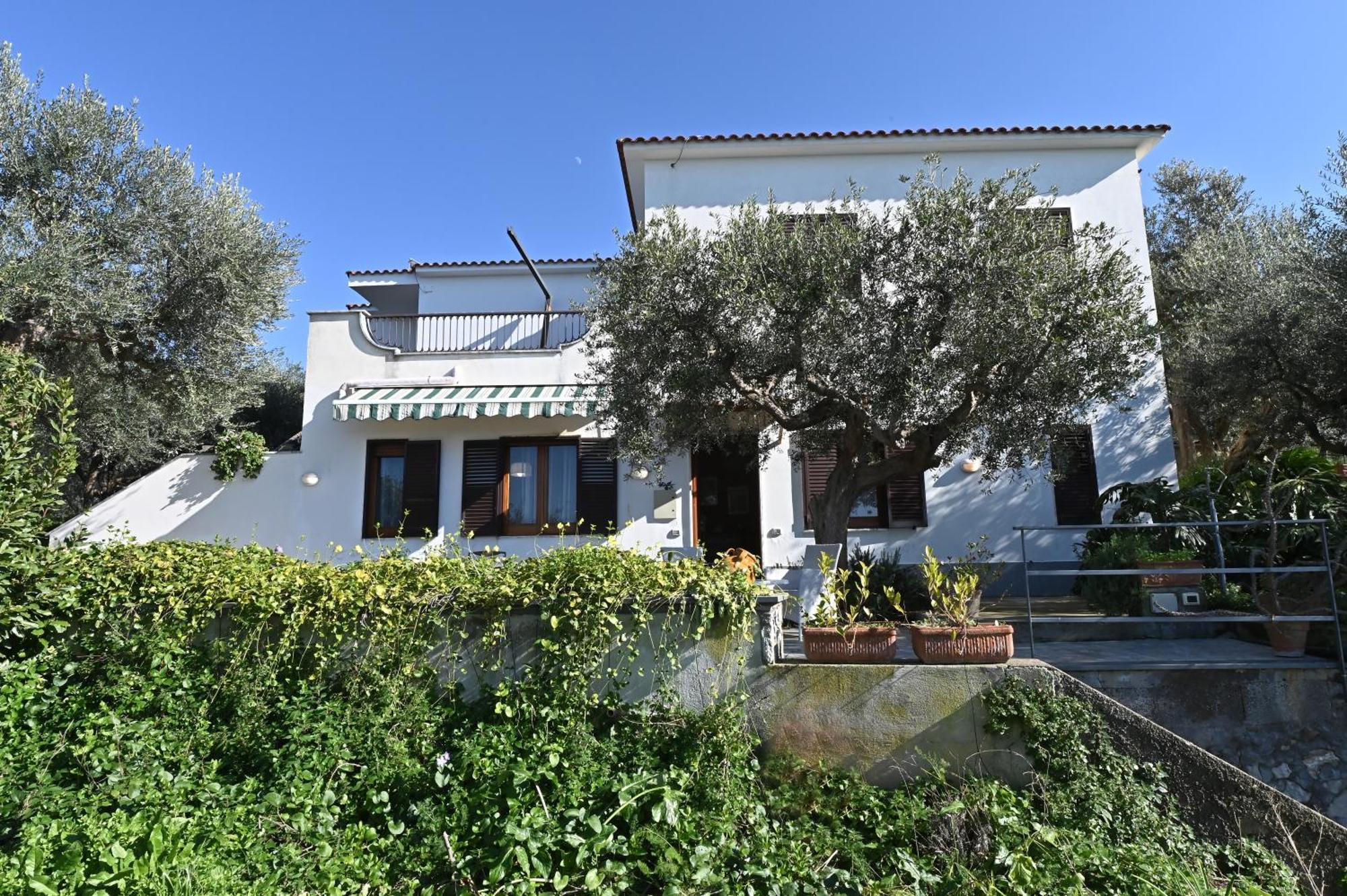 Il Nido Del Gabbiano Apartment Massa Lubrense Exterior foto
